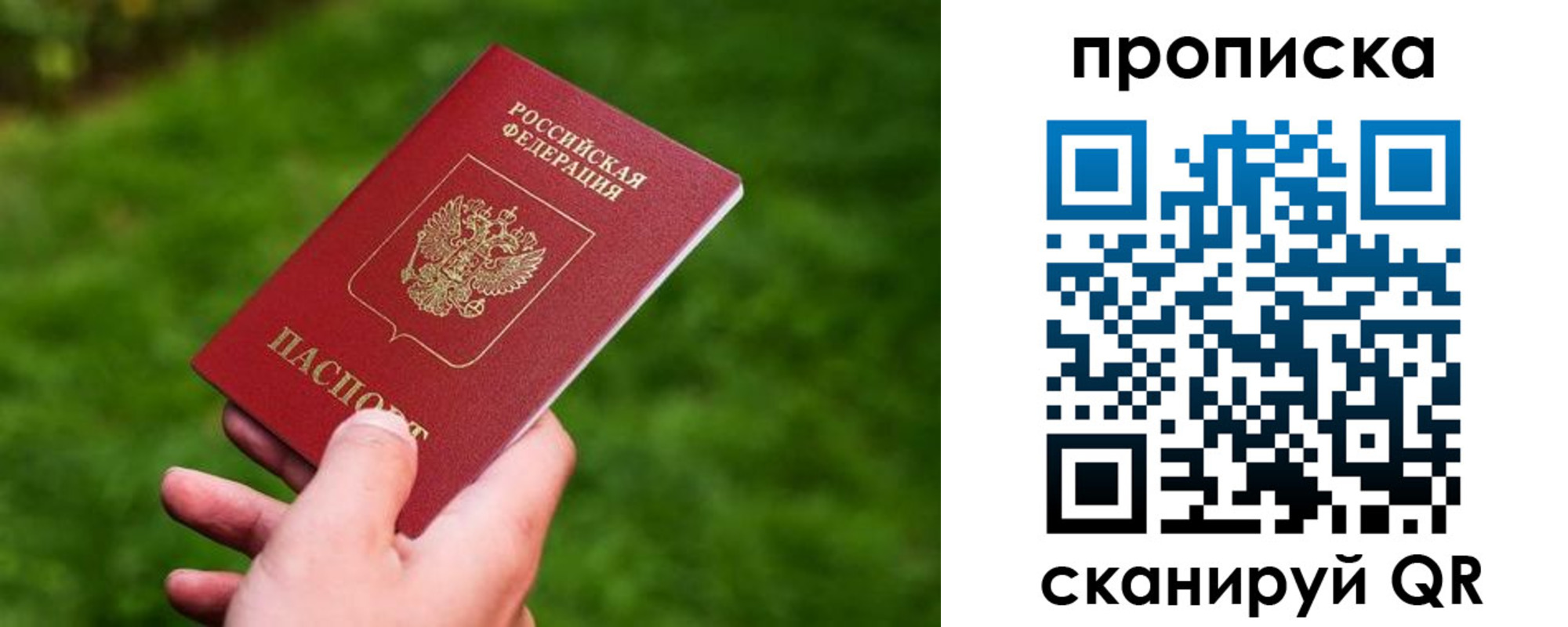 регистрация для школы в Домодедово